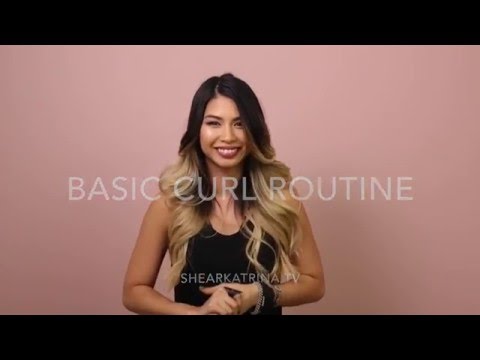 Basic Curl Routine