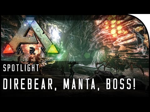 DIREBEAR, MANTA RAY RACES, BROODMOTHER BOSS ARENA! (ARK Survival Evolved Update 239)