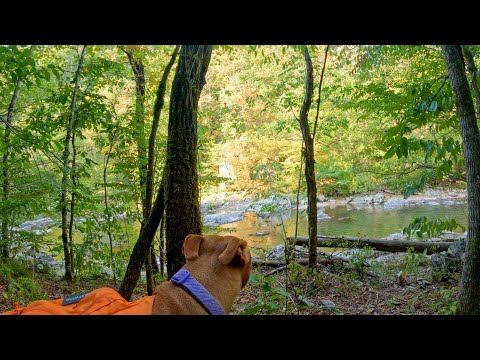 A Peaceful Hiking, Fishing, & Camping Trip // Joy Chasers Ep. 6