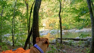 A Peaceful Hiking, Fishing, & Camping Trip // Joy Chasers Ep. 6