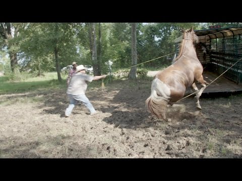 YouTube video