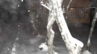 Bel Canto Without You