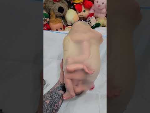 Descobrindo um Segredo Incrível: Como os Bebês Reborn Nascem?