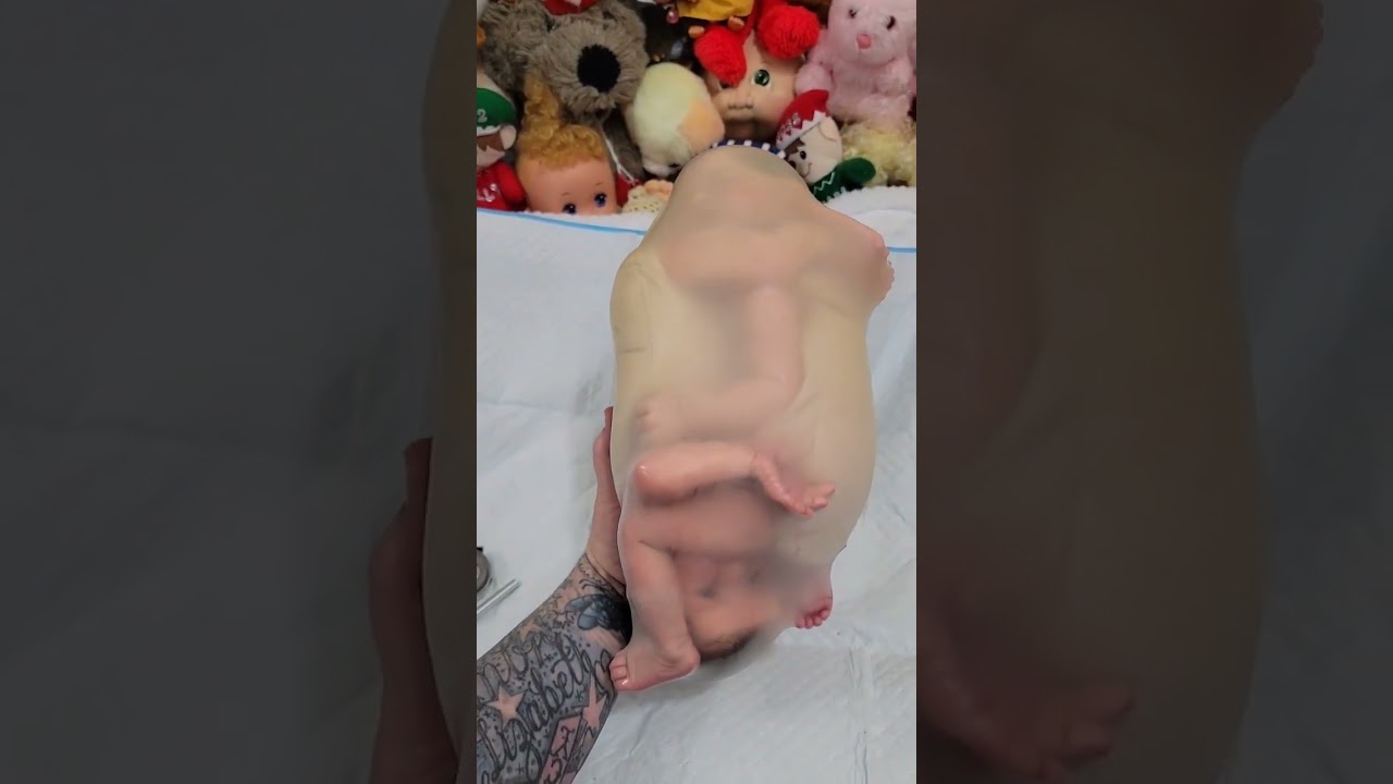 Descobrindo um Segredo Incrível: Como os Bebês Reborn Nascem?