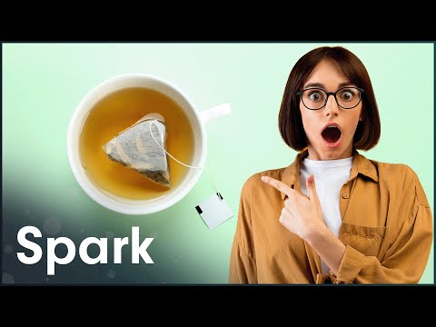 The Incredible, Accidental Invention Of The Teabag