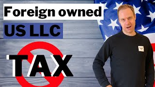 Can a Foreign Owner of a US LLC pay ZERO US Tax?