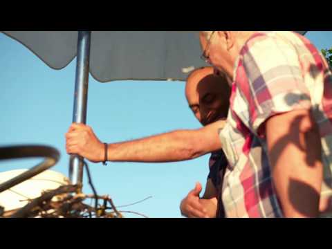 Croatia: The man who adopted a stork - BBC Travel Show