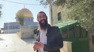 המאמץ שלנו יקר בעיני הקב"ה! | הרב אלישע וולפסון • פרשת וירא (ישיבת הר הבית) - התמונה מוצגת ישירות מתוך אתר האינטרנט יוטיוב. זכויות היוצרים בתמונה שייכות ליוצרה. קישור קרדיט למקור התוכן נמצא בתוך דף הסרטון