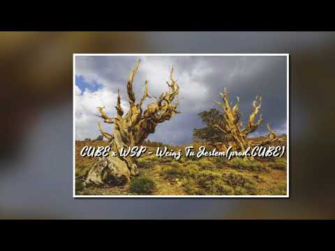 CUBE x WSP   Wciąż Tu Jestem prod CUBE