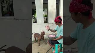 Download lagu MUSSO IS GOOD AT COUNTING mp3