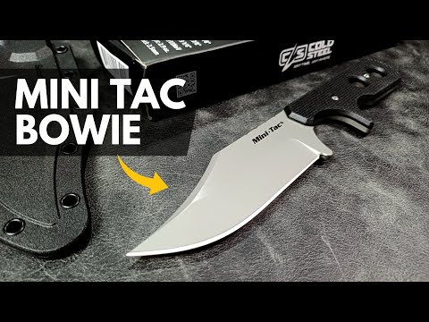 Compact and Capable Neck Knife | Cold Steel Mini Tac Bowie