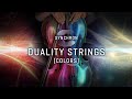 Video 2: Synchron Duality Strings - Colors, Sordino, Regular