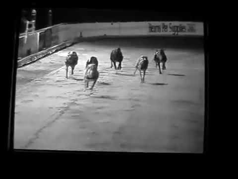 M Doallo - MIDNIGHT DEALERS