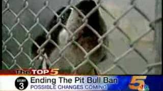 preview picture of video 'Cincinnati's Pit Bull Ban to End?'