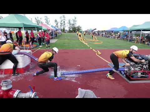 12. Netřebice B 19,60 (L19,36)