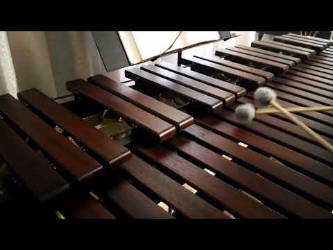 Inni di lode N°126: Dai peccati ci lavò Marimba Cover
