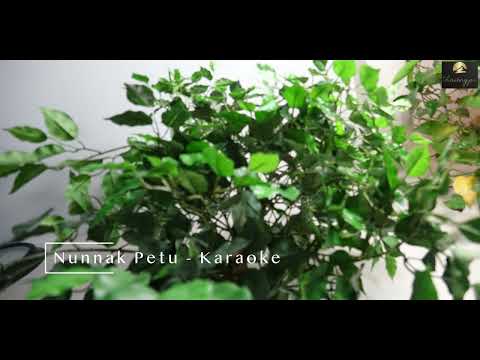 Nunnak Petu - Karaoke