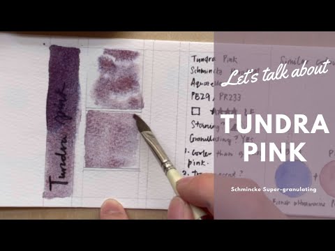 Let's talk about Schmincke Tundra pink