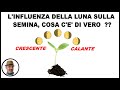 L'INFLUENZA DELLA LUNA SULLE SEMINE, cosa c'è di vero? - Natura e Bellezza L'INFLUENZA DELLA LUNA SULLE SEMINE, cosa c'è di vero?