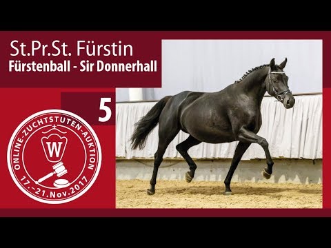05 St.Pr.St. Fürstin v. Fürstenball - Sir Donnerhall