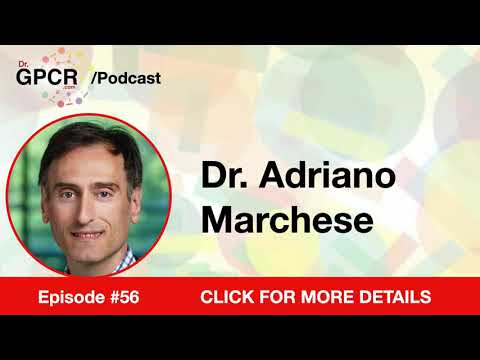 #56 - Dr. Adriano Marchese
