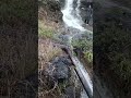 Panchhi Soor Main Gaate Hain ️ ️ ️