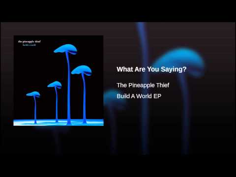 Video thumbnail for What Are You Saying?
