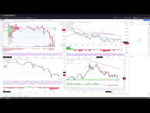 Options-Vega und die EZB liefert 50 Basispunkte