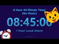 8 Hour 45 minute Timer Countdown (No Music) + 1 Hour Loud Alarm