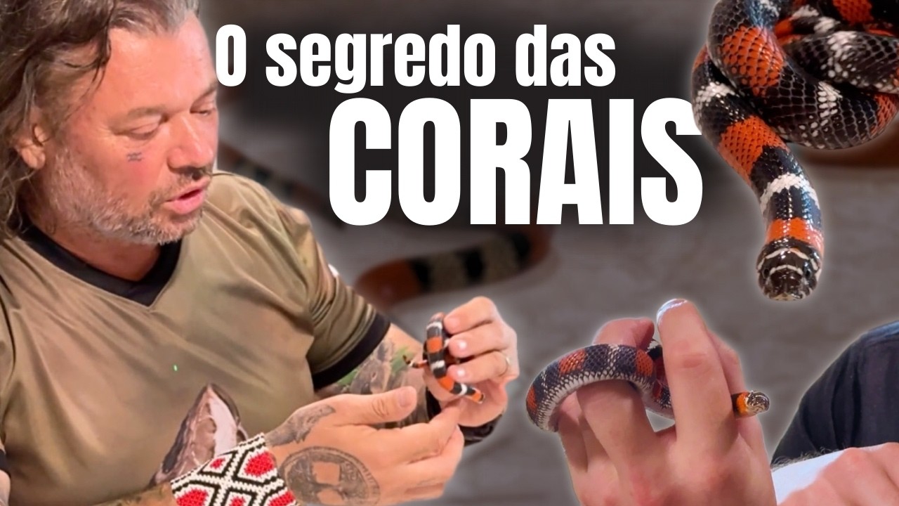 FAKE OR REAL CORAL? DISCOVER THE SECRET!