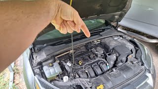 Ford Focus TCM Ground Cleaning Procedure! DPS6 Dual Clutch Auto