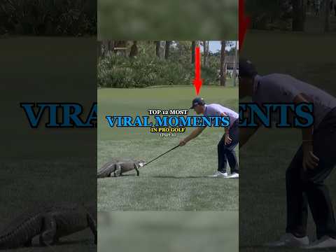 Top 12 Most Viral Moments In Pro Golf | Part 2