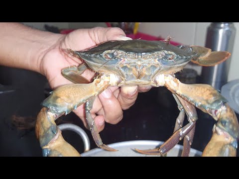 Mud Crab Curry | kall jenji | Crab recipe | Crab Curry Recipe | ಕಲ್ಲು ಏಡಿ | #crab #mangalorerecipes