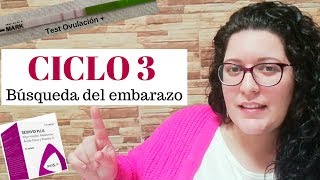 CICLO 3 - ¿Ovusitol o Seidivid + Test Ovulación Positivo _ Buscando embarazo _ Cel Ruiz _