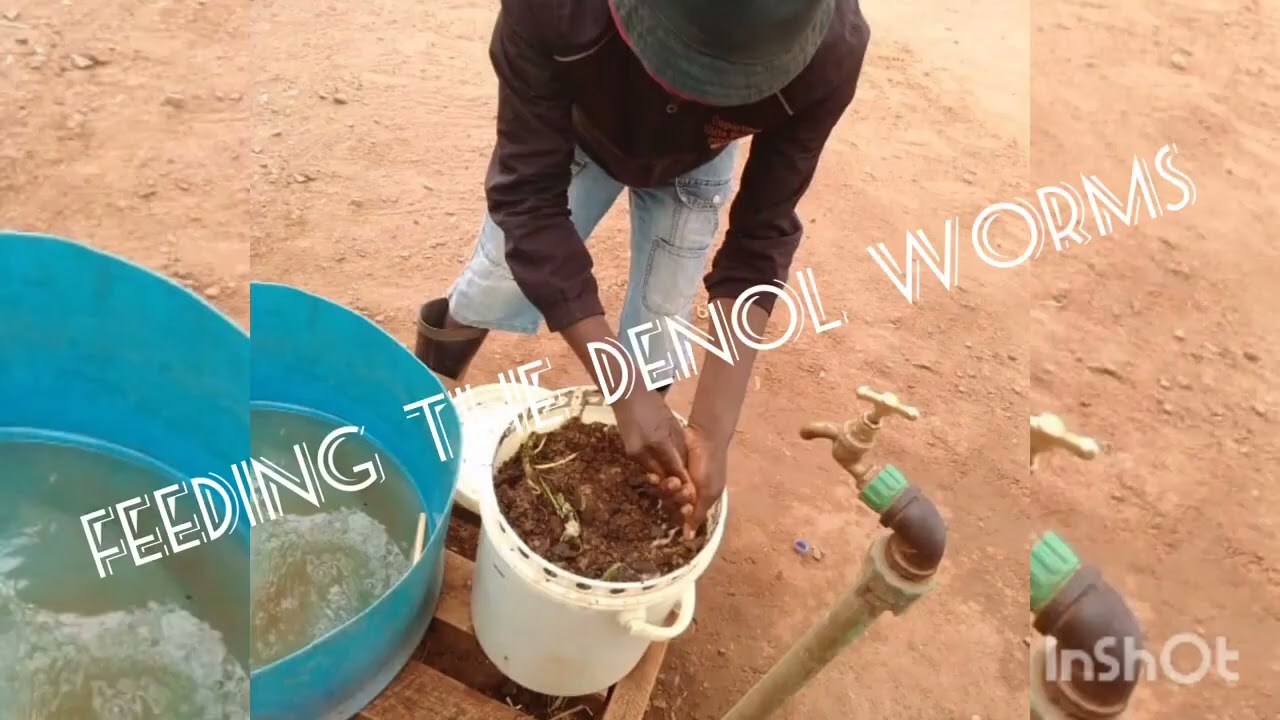Project video