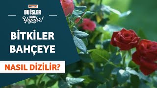 Bitkiler Bahçeye Nasıl Dizilir?