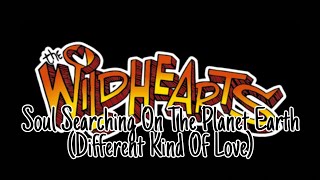 THE WiLDHEARTS - Soul Searching On The Planet Earth (Different Kind Of Love) (Lyric Video)