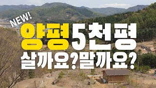새로운 부동산 분석 콘텐츠 - 양평 5천평 평당 24,000원 살까요 말까요? | EP 2. 양평 임야 편 …