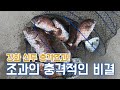 삼척김씨tv 고기도 잘나오구 조사님 인심도 좋구 스텝 센스도 좋구.....간만에 좋은 낚시터에 다녀왔습니다.^^ feat. 강화 선두 바다낚시터 낚시 좌대낚시 대돔