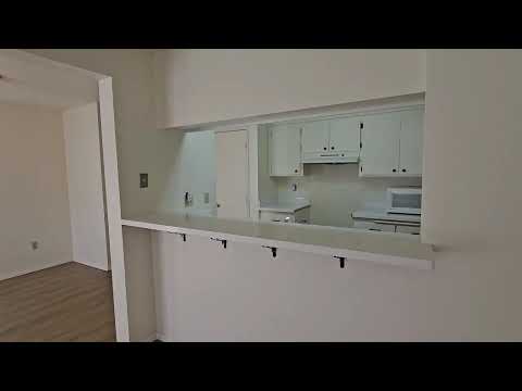 1217 Lancers - Video 2 of 2