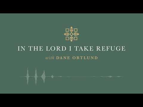 In the Lord I Take Refuge: Psalm 39 - What Is the Measure of My Days?