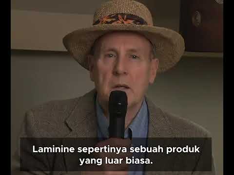 What People Said About LAMININE