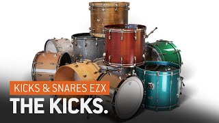 Kicks & Snares EZX  The Kicks