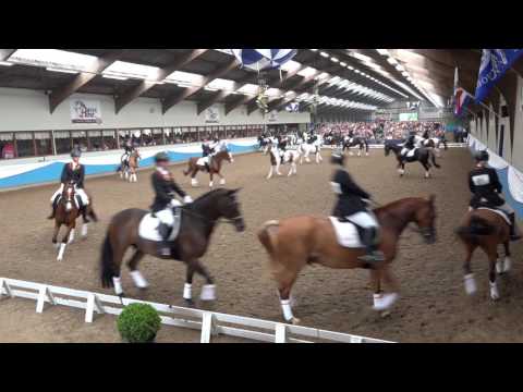 NK carrousel 2016 - Capelse Manege Paarden Carrousel