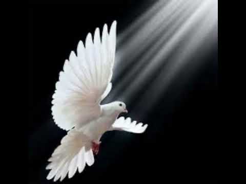 Duchu Święty, Stworzycielu… / Anielskie Głosy Telford