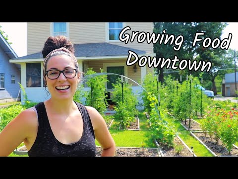 Urban Homesteading - Grow an Abundance of Food on 1/5th Acre