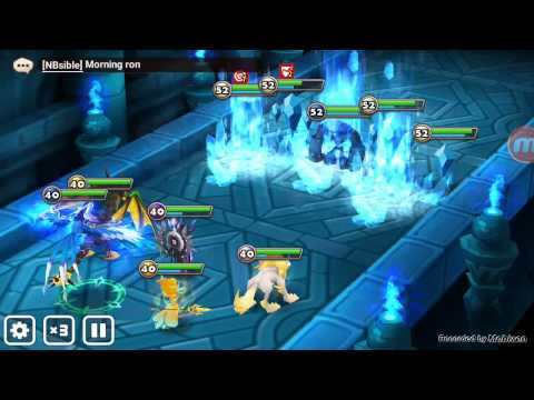 Hall of water B7 B8 - Auto team