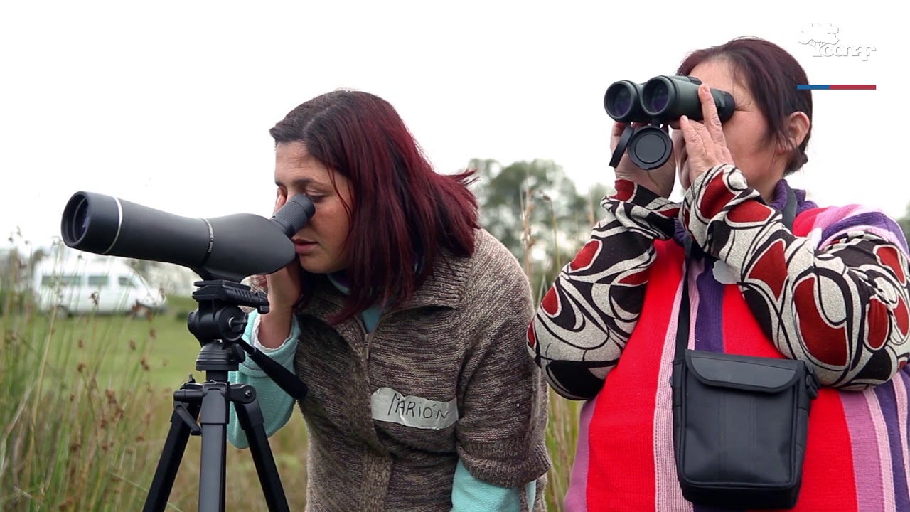 Santuario de la Naturaleza Carlos Anwandter ¡Yo lo Protejo!