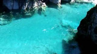 preview picture of video 'The Blue Pools of Haast Pass in New Zealand'