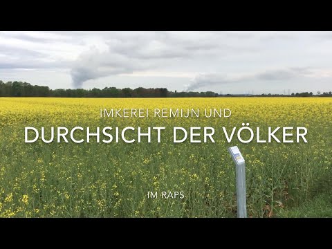 Durchsicht der Völker Teil 2 Raps